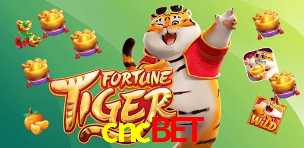 Experiência VIP cncbet